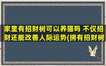 家里有招财树可以养猫吗 不仅招财还能改善人际运势(拥有招财树的家庭可否饲养宠物猫？)